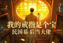 我的戒指是个宝，民国幕后当大佬完整版小说免费阅读，我的戒指是个宝，民国幕后当大佬小说-优文网