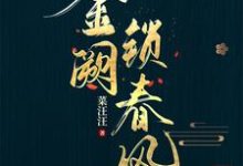 小说《金阙锁春风》章节免费阅读-优文网