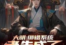 大明：绑错系统，老朱成了我岳父楚轩小说免费阅读-优文网