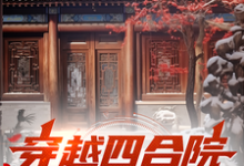 《穿越四合院，开局五五年》李先锋小说免费阅读完整版-优文网
