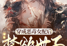顾惜音裴琛小说完结版在线阅读，穿成恶毒女配后，禁欲世子被撩疯免费看-优文网