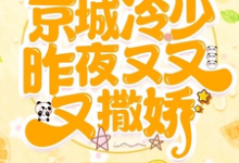 哇枭！京城冷少昨夜又又又撒娇！邝晓晓顾泽常小说免费阅读-优文网