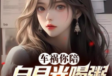 已完结小说《车祸你陪白月光喝粥，我走你哭啥》章节在线阅读-优文网