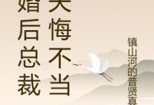 已完结小说《离婚后总裁前夫悔不当初》最新章节-优文网