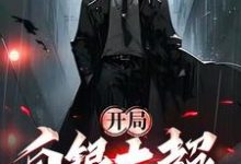 开局白银大超，749局横着走小说无弹窗阅读的网站推荐-优文网