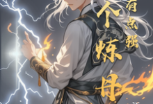 这个炼丹师战力有点强这本小说怎么样？免费在线阅读试试-优文网