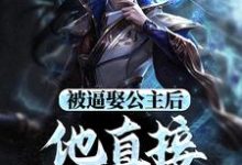 完结版《被逼娶公主后，他直接坐了皇位》在线免费阅读-优文网
