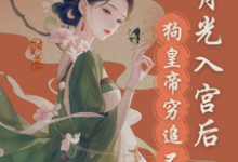 白月光入宫后，狗皇帝紧追不舍小说无弹窗阅读的网站推荐-优文网