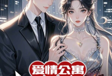 哪里能找到爱情公寓：我的传统女友小说的全部章节？-优文网