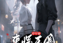 许凌音萧墨言小说完结版在线阅读，将军她来娱乐圈卧底了免费看-优文网