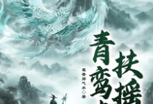 青鸾志：扶摇小说的免费阅读版本在哪里可以找到？-优文网