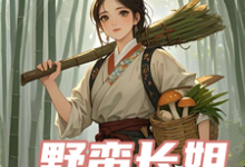 小说《野蛮长姐有点怪》在线章节阅读-优文网