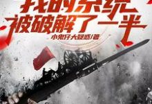 亮剑：我的系统被破解了一半小说完结版章节免费阅读-优文网