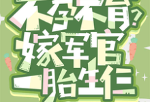 小说《嫌我不孕不育？嫁军官一胎生仨》章节免费阅读-优文网