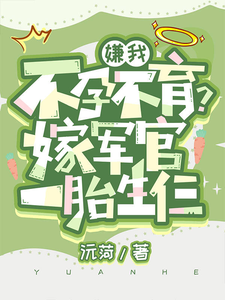 小说《嫌我不孕不育？嫁军官一胎生仨》章节免费阅读