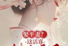 娶平妻？这活寡我不守了！小说阅读，娶平妻？这活寡我不守了！完结版-优文网