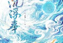 小说完整版《沉浮事》免费阅读-优文网