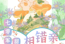 舒云顾峻完整版小说《相错亲嫁对人，七零军婚甜蜜蜜》免费阅读-优文网