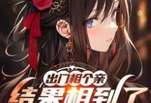 出门相个亲，结果相到了黑道千金苏沫洛白霜在线章节免费阅读-优文网