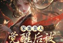 笨蛋美人觉醒后被战神亲哭了小说，笨蛋美人觉醒后被战神亲哭了在线阅读-优文网