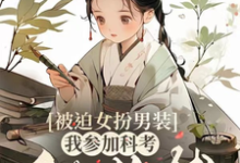 求推荐可以免费阅读被迫女扮男装，我参加科考做首辅小说的网站-优文网