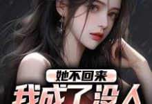 求她不回来，我成了没人敢惹的混混小说免费资源-优文网